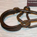 Manacles Artifacts: 18th Century Shackle (leg irons)